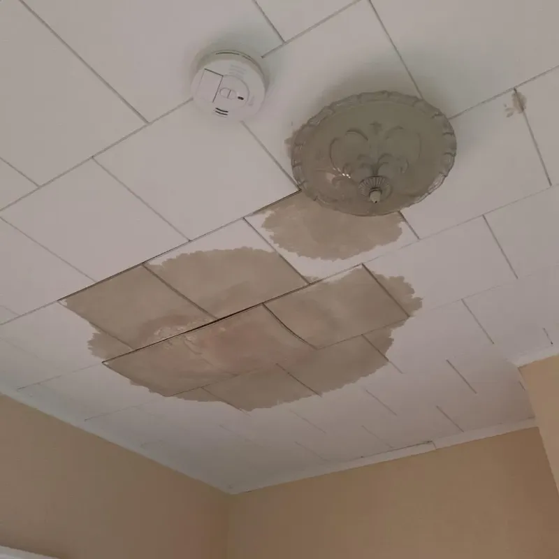 Ceiling Water Damage Repair in Lutcher, LA