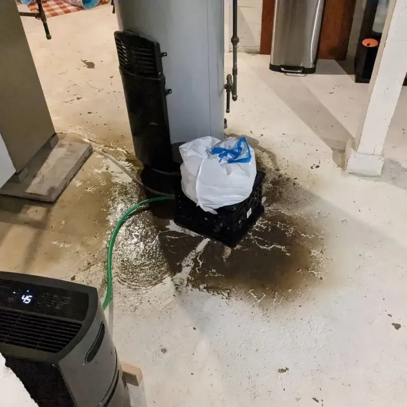 Sewage Backup Cleanup Service in Lutcher, LA